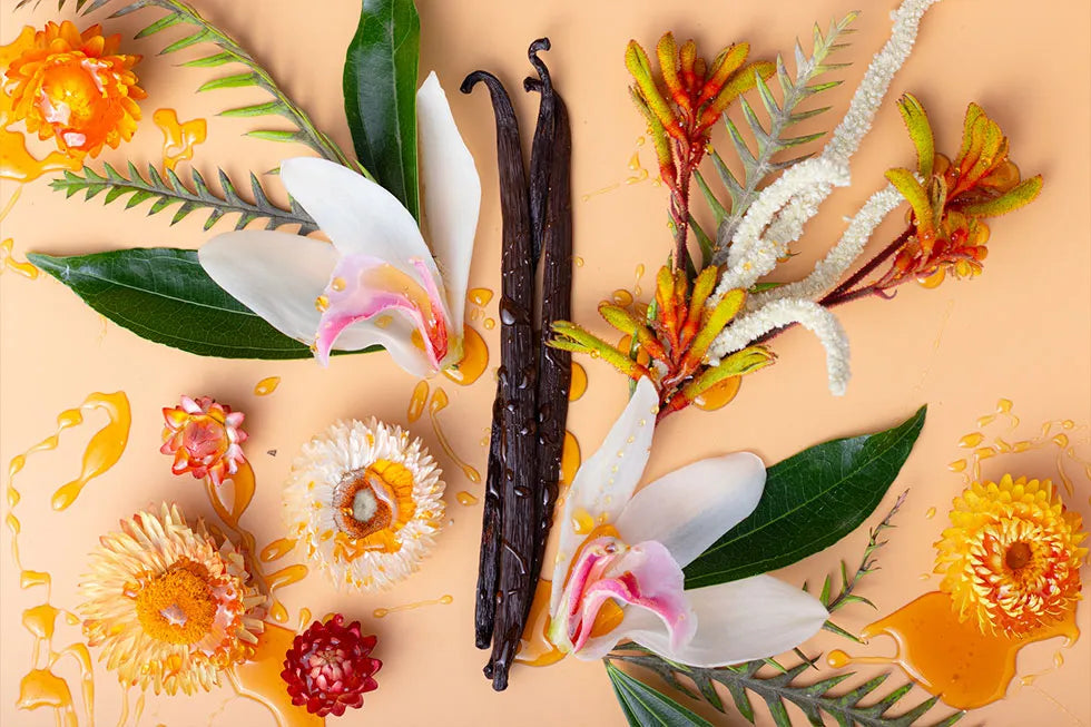 Ecuador Vanilla Beans – Grade A