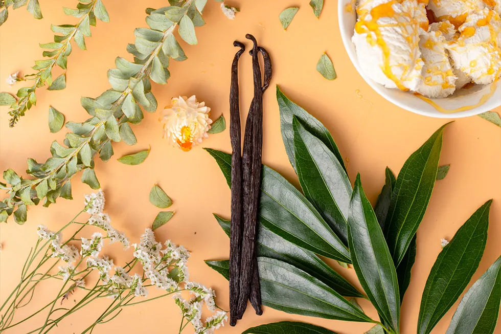 Madagascar Vanilla Beans – Grade A