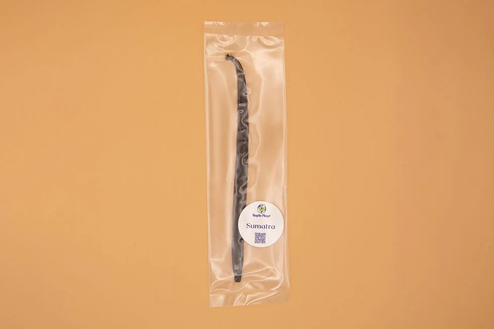 Sumatra (Indonesian) Vanilla Beans – Grade A